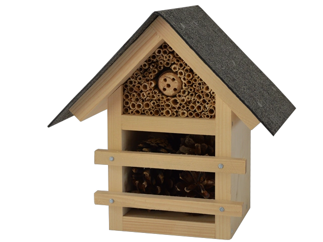 insekten 
