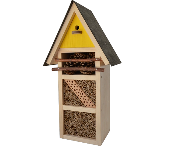 insekten 