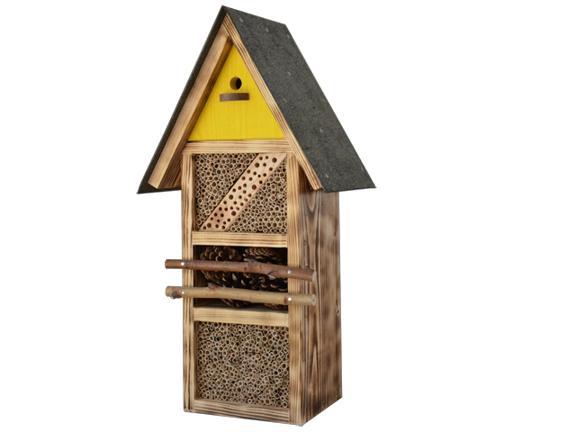 insekten 