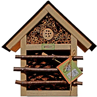 insekten 