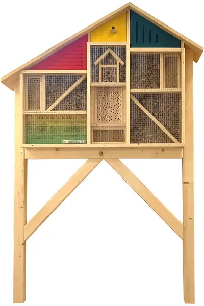 insekten 