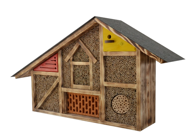 insekten 