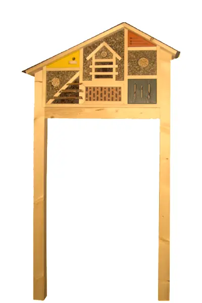 insekten 