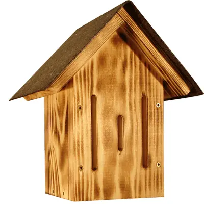 insekten 