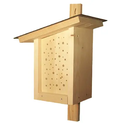 insekten 