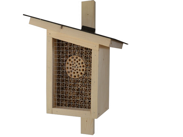 insekten 