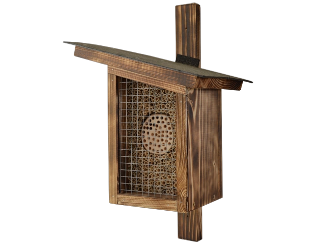 insekten 