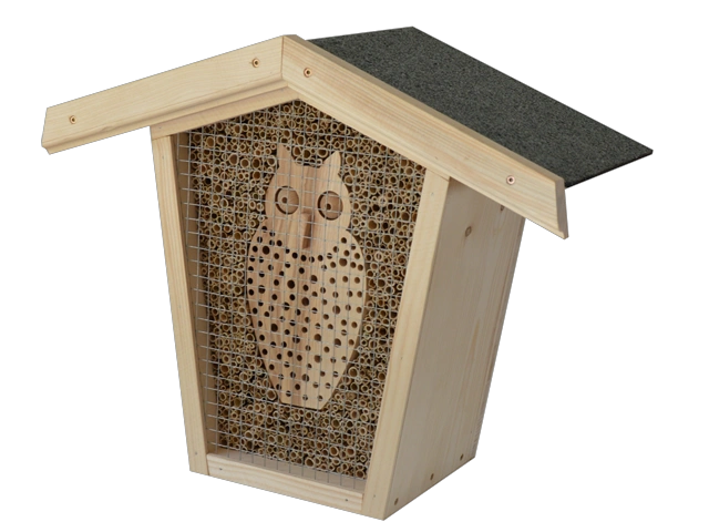 insekten 