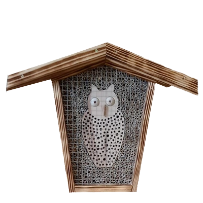insekten 