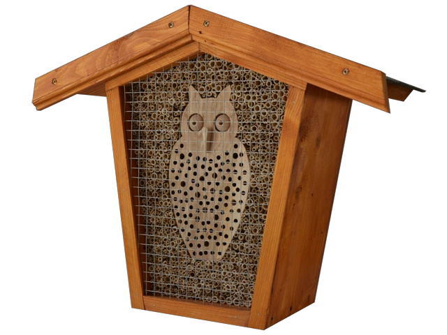 insekten 