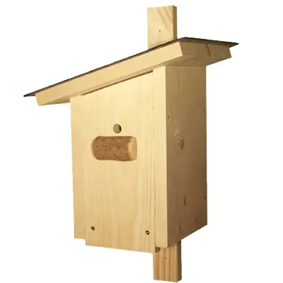 insekten 