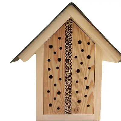 insekten 