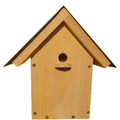 insekten 