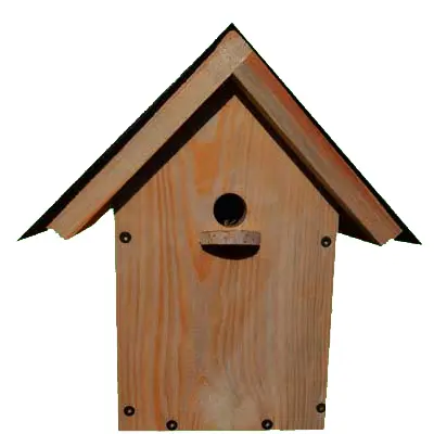 insekten 